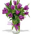 Flowers for all occasions