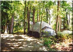 Camp in New Jersey