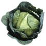 cabbage soup diet