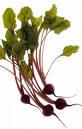 Beetroots