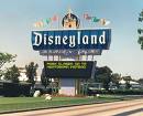 Having More Fun At Disney World