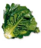 Seder plate: The Lettuce